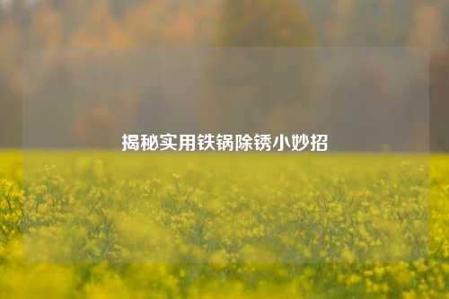 揭秘实用铁锅除锈小妙招