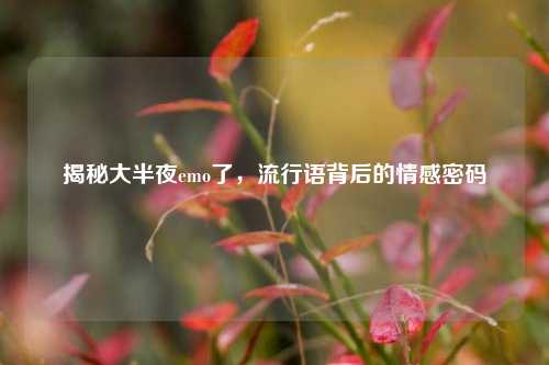 揭秘大半夜emo了，流行语背后的情感密码