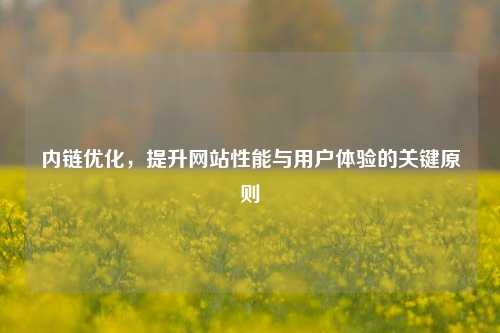 内链优化，提升网站性能与用户体验的关键原则
