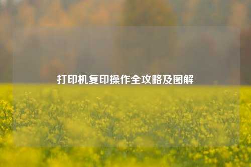 打印机复印操作全攻略及图解