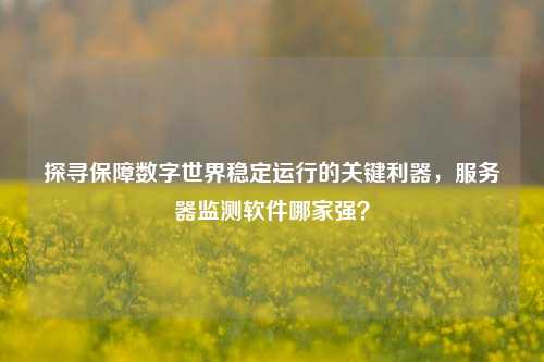 探寻保障数字世界稳定运行的关键利器，服务器监测软件哪家强？