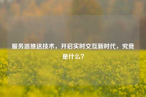 服务器推送技术，开启实时交互新时代，究竟是什么？