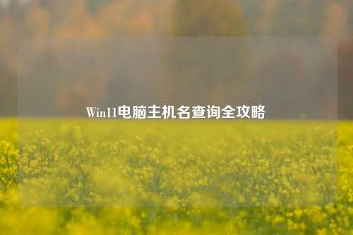 Win11电脑主机名查询全攻略