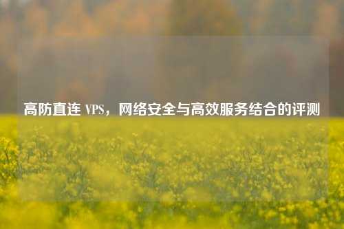 高防直连 VPS，     安全与高效服务结合的评测