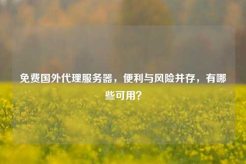 免费国外     服务器，便利与风险并存，有哪些可用？