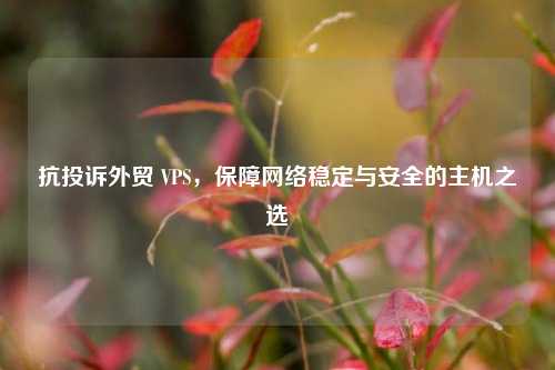 抗投诉外贸 VPS，保障     稳定与安全的主机之选