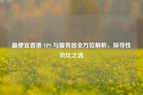 更便宜香港 VPS 与服务器全方位解析，探寻性价比之选