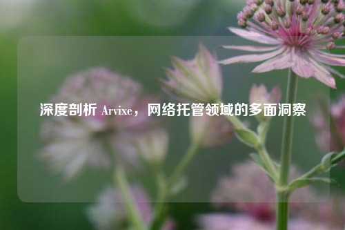 深度剖析 Arvixe，     托管领域的多面洞察