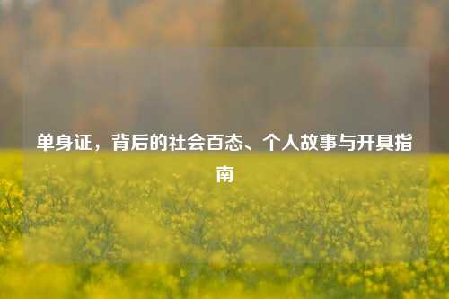 单身证，背后的社会百态、个人故事与开具指南