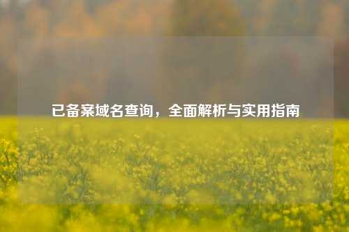 已备案域名查询，全面解析与实用指南