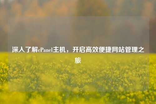 深入了解cPanel主机，开启高效便捷网站管理之旅