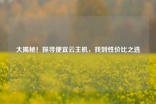 大揭秘！探寻便宜云主机，找到性价比之选