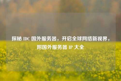 探秘 IDC 国外服务器，开启全球     新视界，附国外服务器 IP 大全