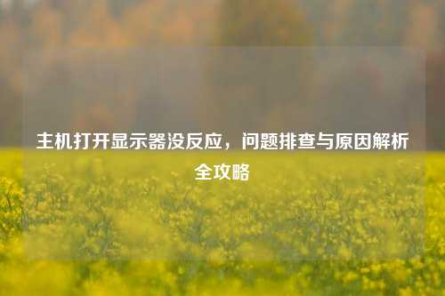 主机打开显示器没反应，问题排查与原因解析全攻略