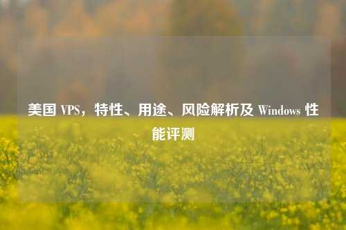 美国 VPS，特性、用途、风险解析及 Windows 性能评测