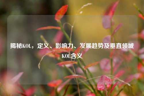 揭秘KOL，定义、影响力、发展趋势及垂直领域KOL含义