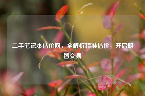 二手笔记本估价网，全解析精准估价，开启明智交易