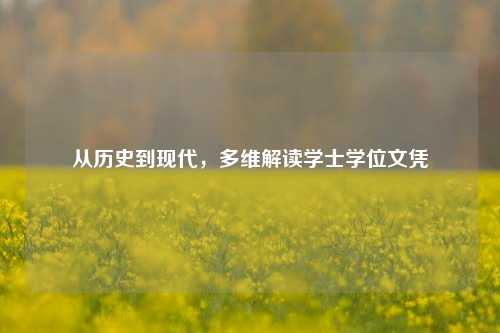 从历史到现代，多维解读学士学位文凭