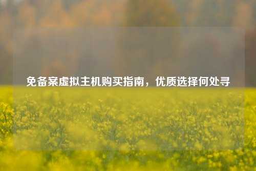 免备案虚拟主机购买指南，优质选择何处寻