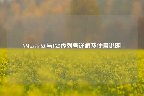 VMware 6.0与15.5序列号详解及使用说明
