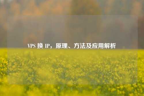 VPS 换 IP，原理、     及应用解析