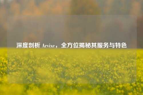 深度剖析 Arvixe，全方位揭秘其服务与特色
