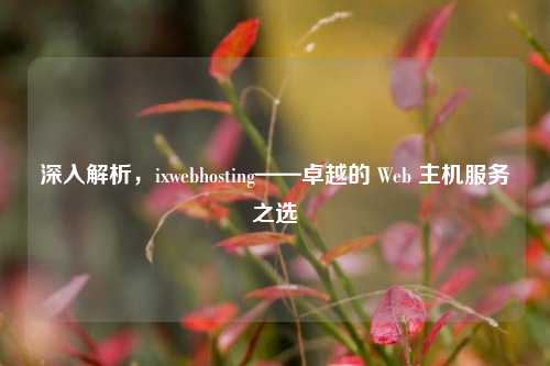深入解析，ixwebhosting——卓越的 Web 主机服务之选