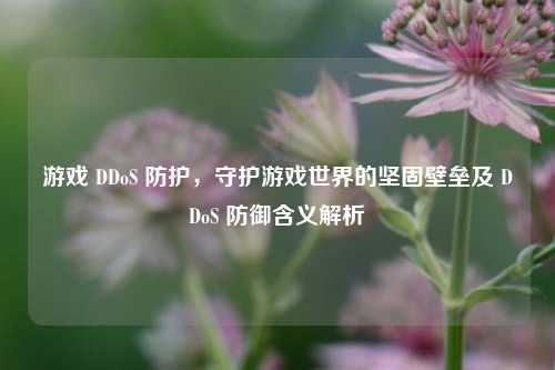 游戏 DDoS 防护，守护游戏世界的坚固壁垒及 DDoS 防御含义解析