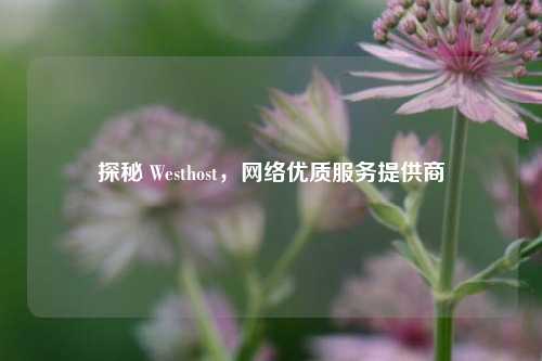 探秘 Westhost，     优质服务提供商