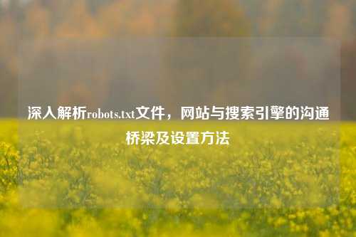深入解析robots.txt文件，网站与搜索引擎的沟通桥梁及设置     