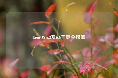 CentOS 6.3及6.6下载全攻略