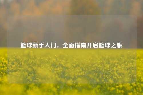 篮球新手入门，全面指南开启篮球之旅