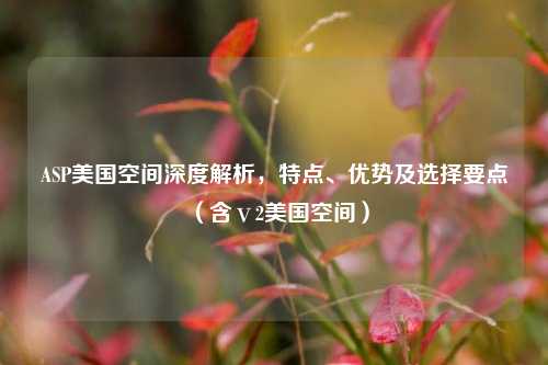 ASP美国空间深度解析，特点、优势及选择要点（含ⅴ2美国空间）