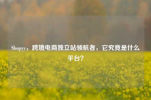Shopyy，跨境电商独立站领航者，它究竟是什么平台？