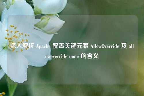深入解析 Apache 配置关键元素 AllowOverride 及 allowoverride none 的含义