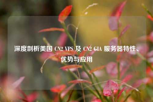 深度剖析美国 CN2 VPS 及 CN2 GIA 服务器特性、优势与应用
