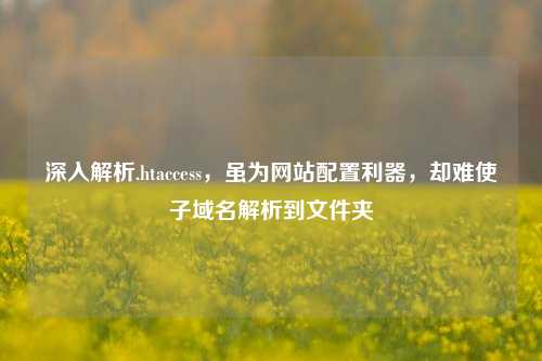 深入解析.htaccess，虽为网站配置利器，却难使子域名解析到文件夹