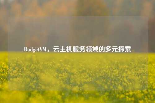 BudgetVM，云主机服务领域的多元探索
