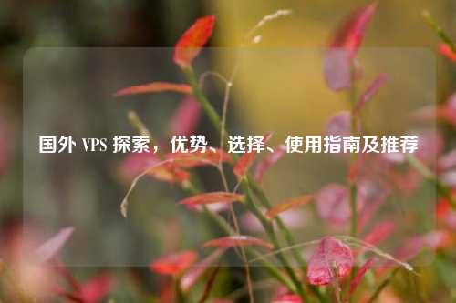 国外 VPS 探索，优势、选择、使用指南及推荐