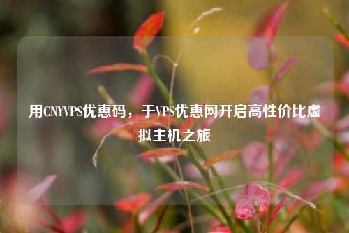 用CNYVPS优惠码，于VPS优惠网开启高性价比虚拟主机之旅