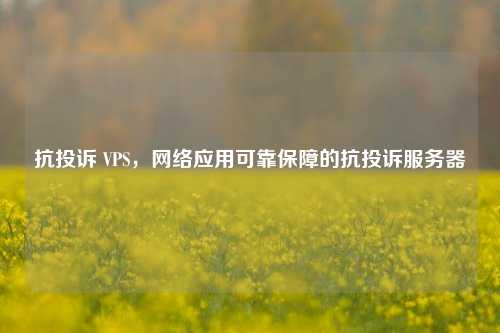 抗投诉 VPS，     应用可靠保障的抗投诉服务器