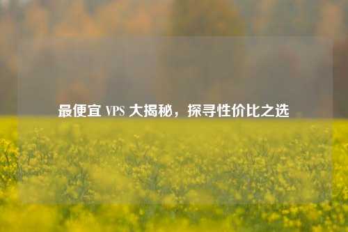 更便宜 VPS 大揭秘，探寻性价比之选