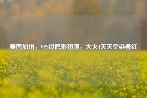 美国加州，VPS似隐形翅膀，大火4天天空染橙红