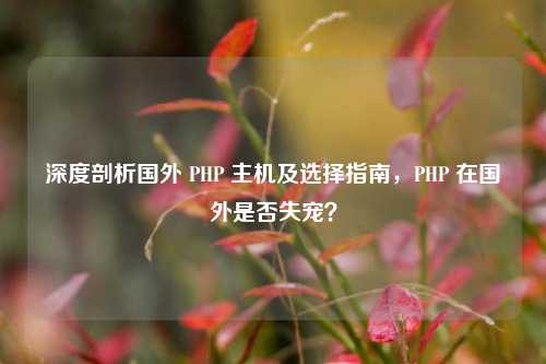 深度剖析国外 PHP 主机及选择指南，PHP 在国外是否失宠？