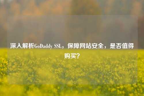 深入解析GoDaddy SSL，保障网站安全，是否值得购买？