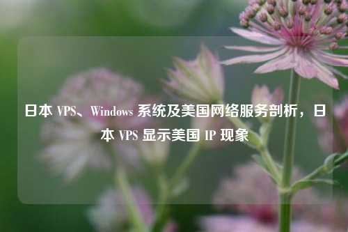 日本 VPS、Windows 系统及美国     服务剖析，日本 VPS 显示美国 IP 现象