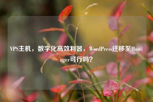 VPS主机，数字化高效利器，WordPress迁移至Hostinger可行吗？