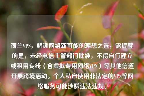 荷兰VPS，解锁     新可能的理想之选，需提醒的是，未经电信主管部门批准，不得自行建立或租用专线（含虚拟专用     VPN）等其他信道开展跨境活动。个人私自使用非法定的VPS等     服务可能涉嫌违法违规。