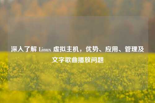 深入了解 Linux 虚拟主机，优势、应用、管理及文字歌曲播放问题