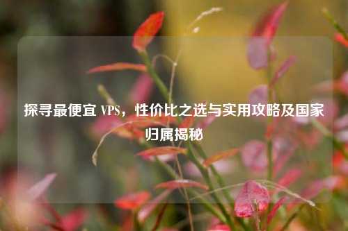 探寻更便宜 VPS，性价比之选与实用攻略及国家归属揭秘
